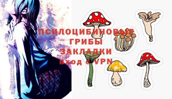 стафф Пролетарск