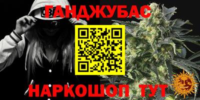сатива Аргун