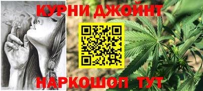 сатива Аргун