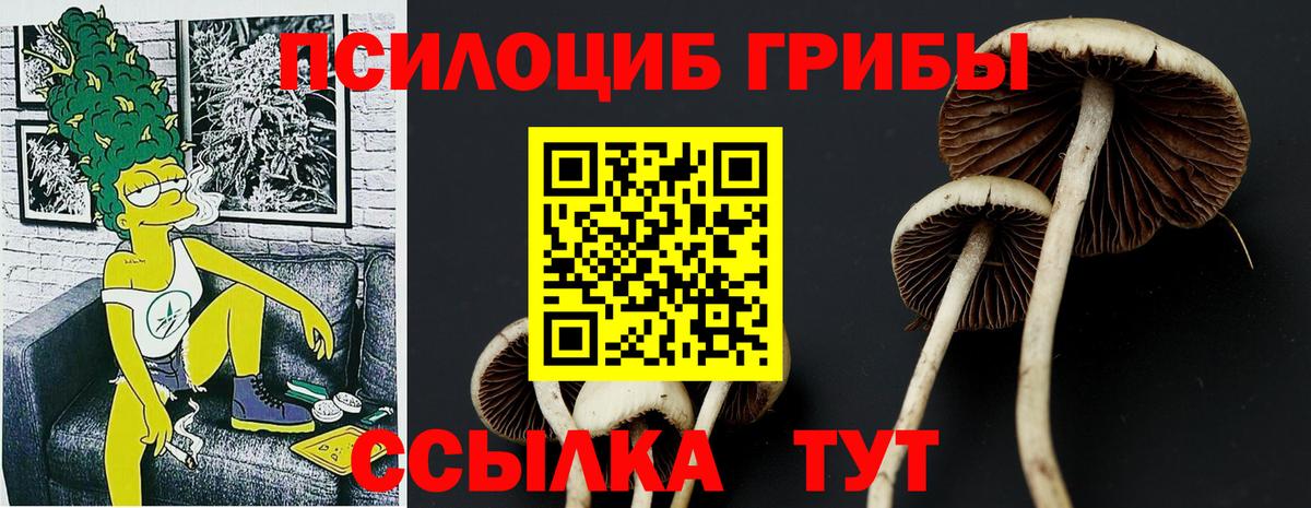 Псилоцибиновые грибы мухоморы  Балашиха 